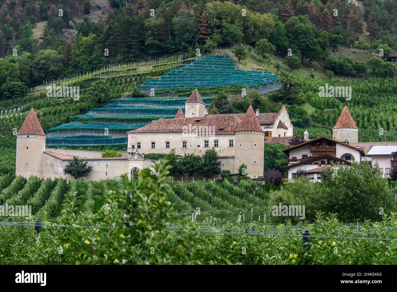 goldrain-castle-in-vinschgau-stock-photo-alamy