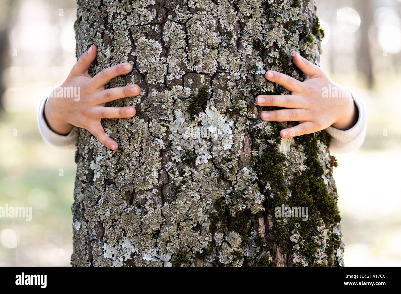 Childs Hands Hugging A Tree Stock Photo Alamy