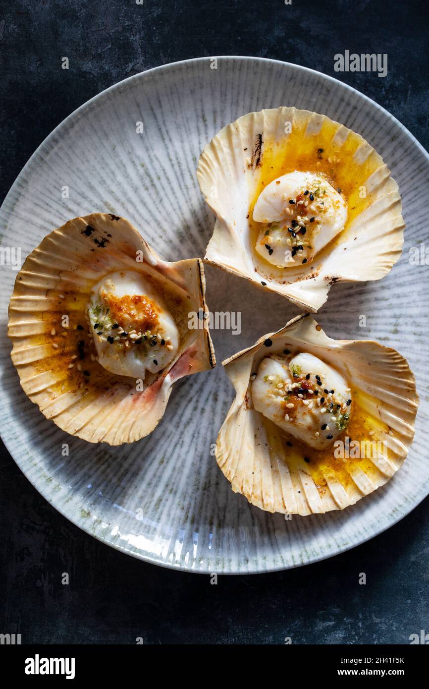 Grilled scallop with miso butter and sesame seeds on cauliflower puree Stock Photo