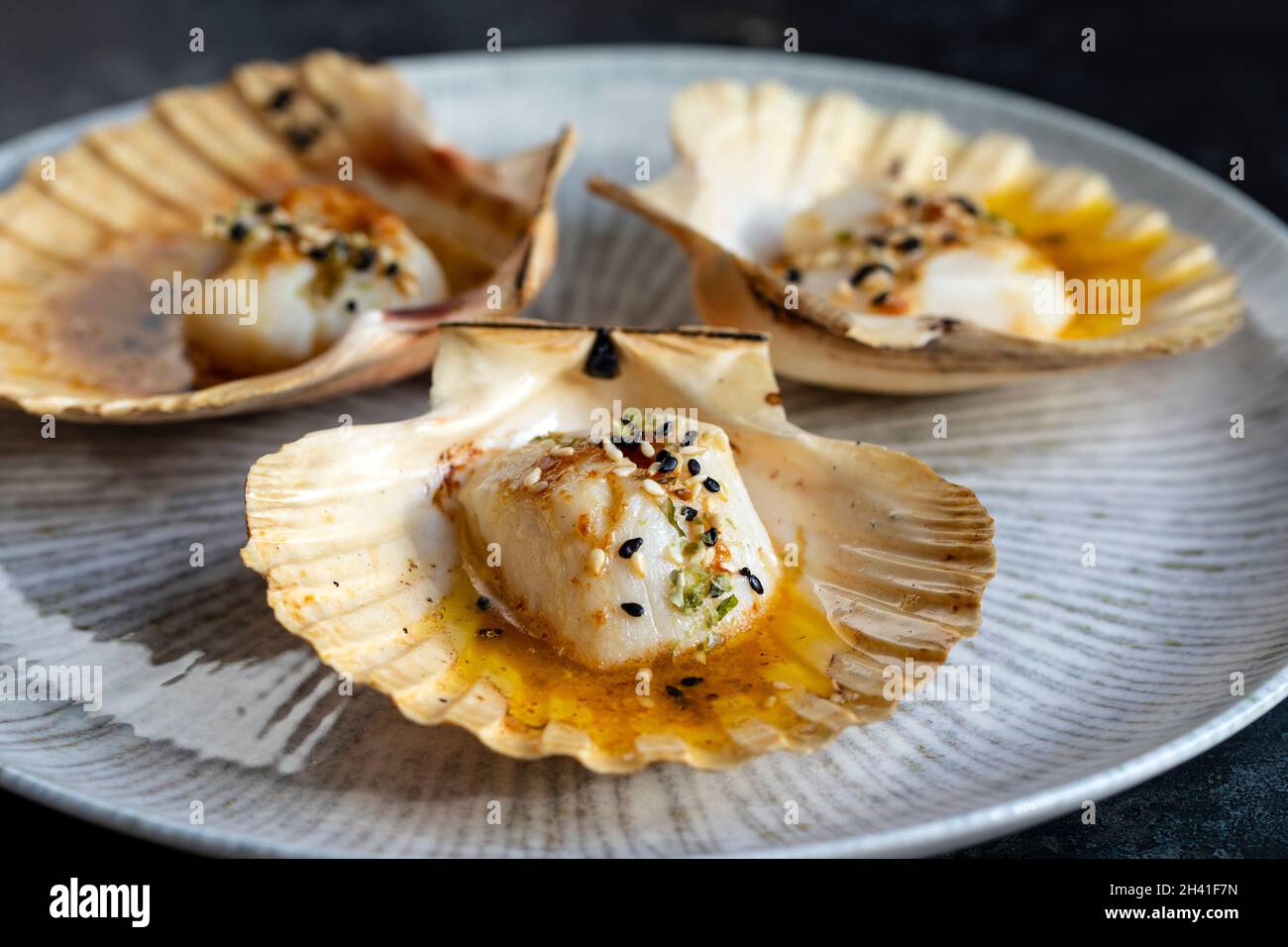 Grilled scallop with miso butter and sesame seeds on cauliflower puree Stock Photo
