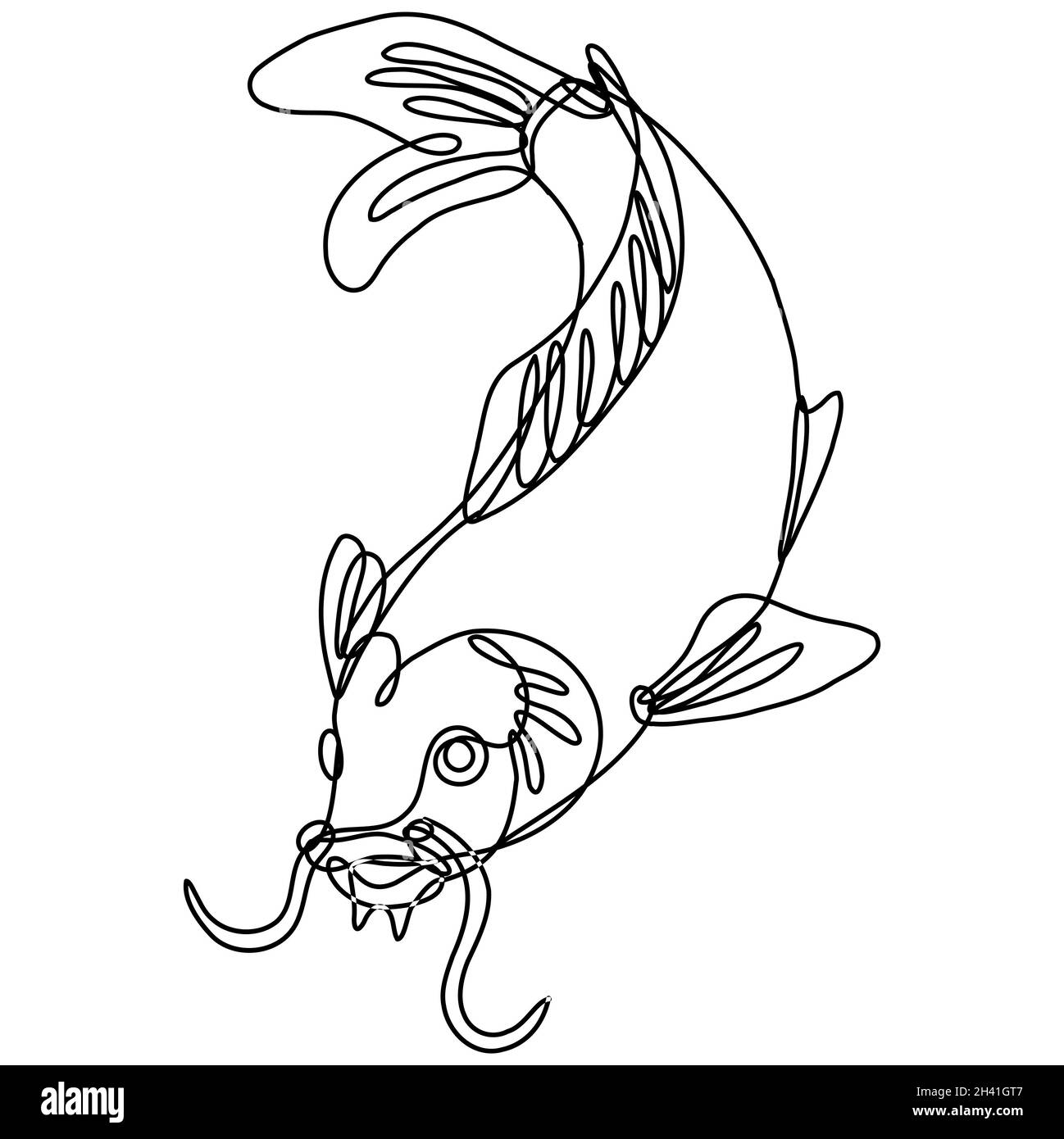 Nishikigoi Koi Carp Fish Diving Down Continuous Line Drawing Stock Photo