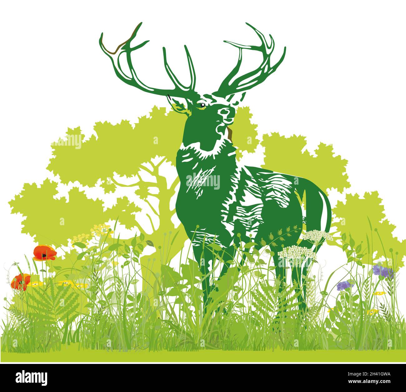 Deer in the meadow illustration Stock Photo