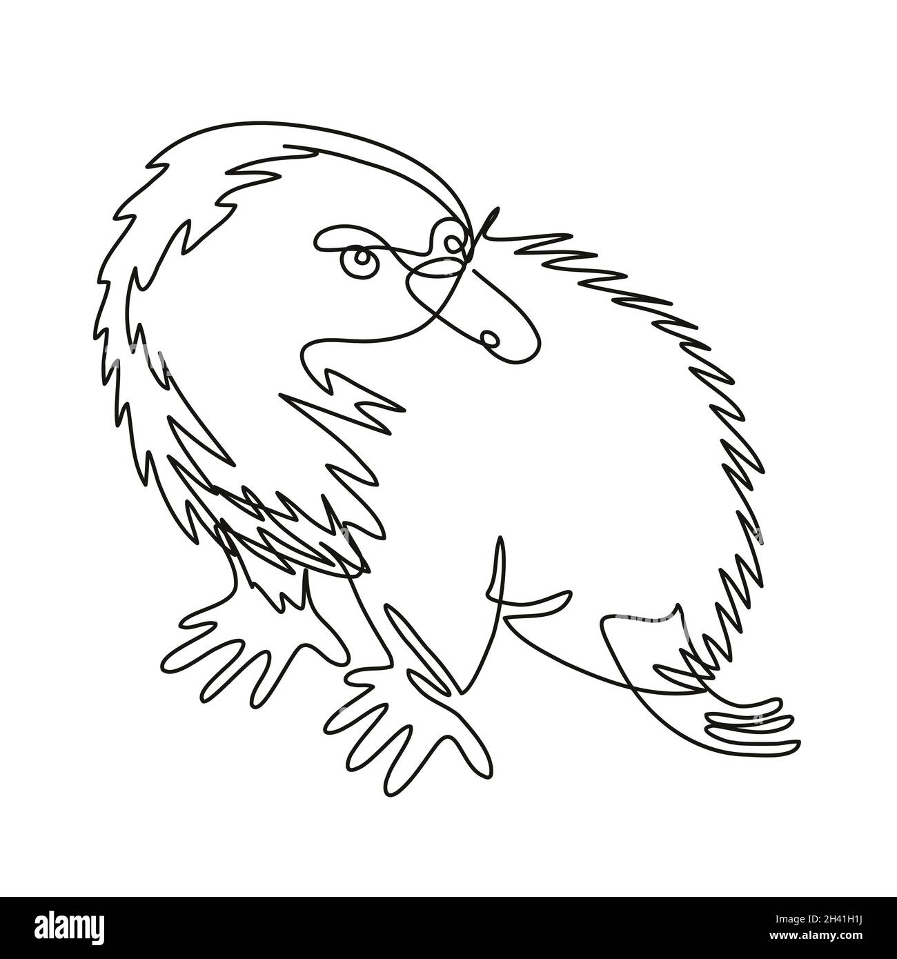 Echidna or Spiny Anteater Side View Continuous Line Drawing Stock Photo