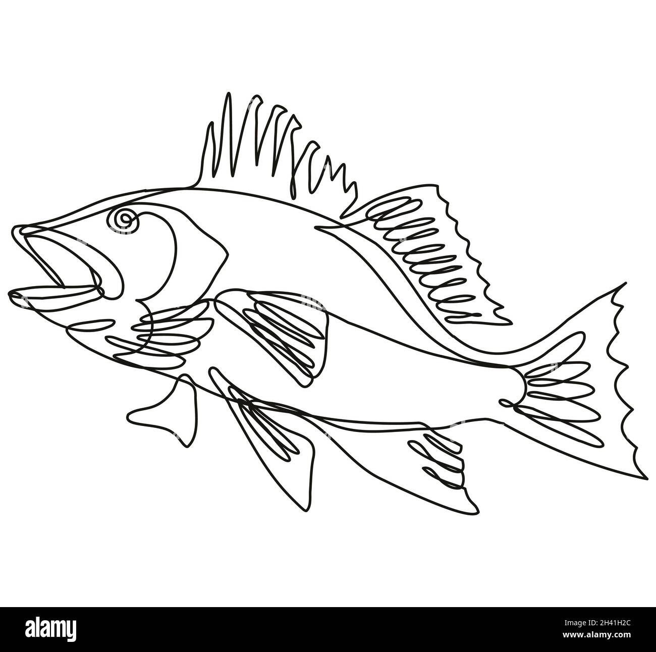 Largemouth Bass Side View Continuous Line Drawing Stock Photo