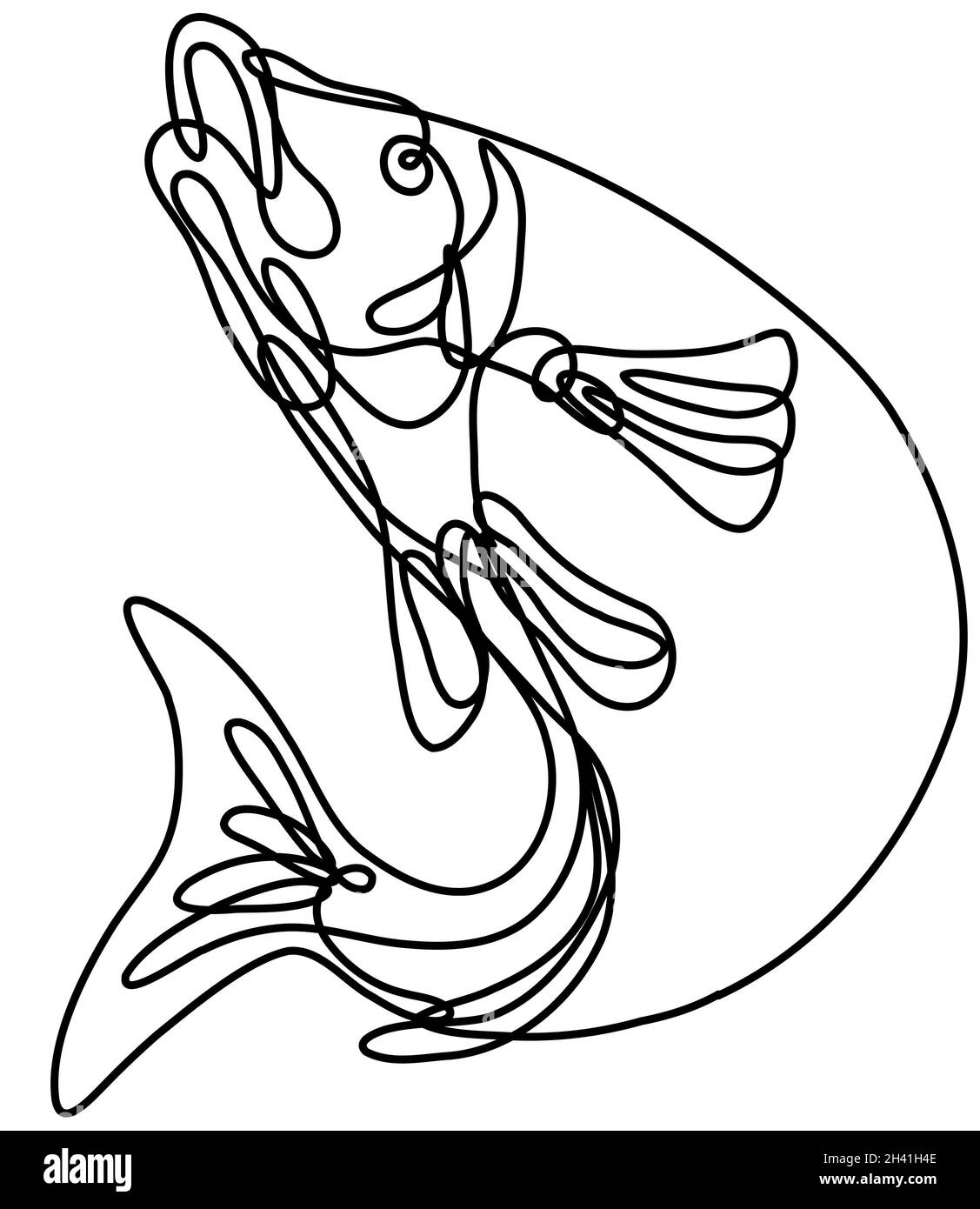 Lake Trout Jumping Up Continuous Line Drawing Stock Photo Alamy