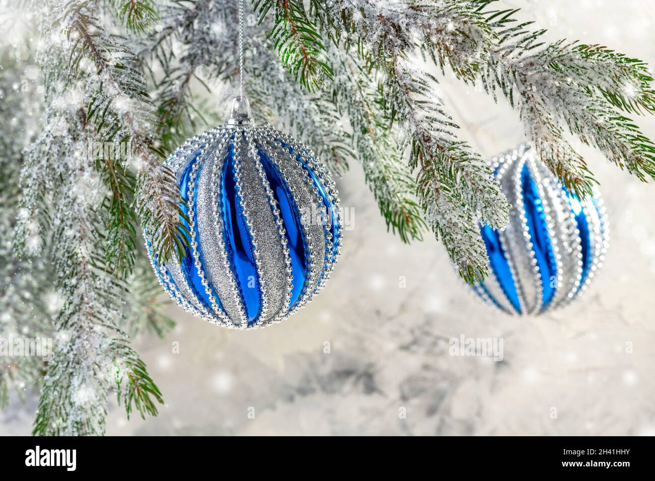 Christmas blue ball on a spruce branch Stock Photo - Alamy
