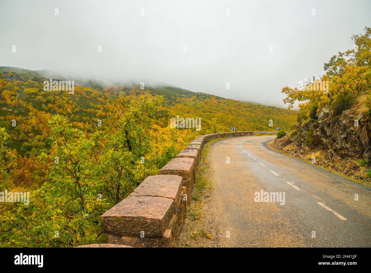 Road and autumnal landscape. Riofrio de Riaza, Segovia province, Castilla Leon, Spain. Stock Photo