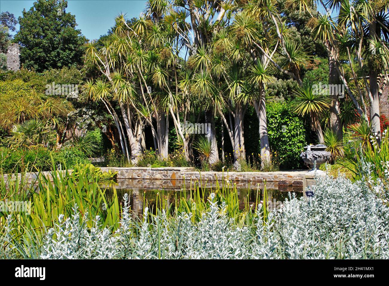 Logan Botanic Gardens Scotland Stock Photo Alamy