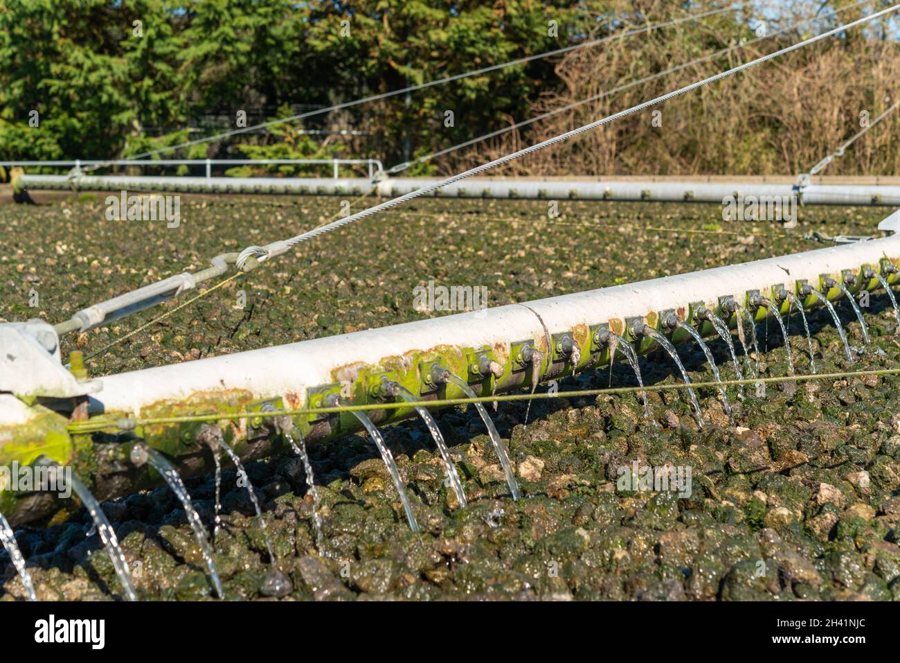 Rotary arm discharging waste water on filter bed, sewage treatment