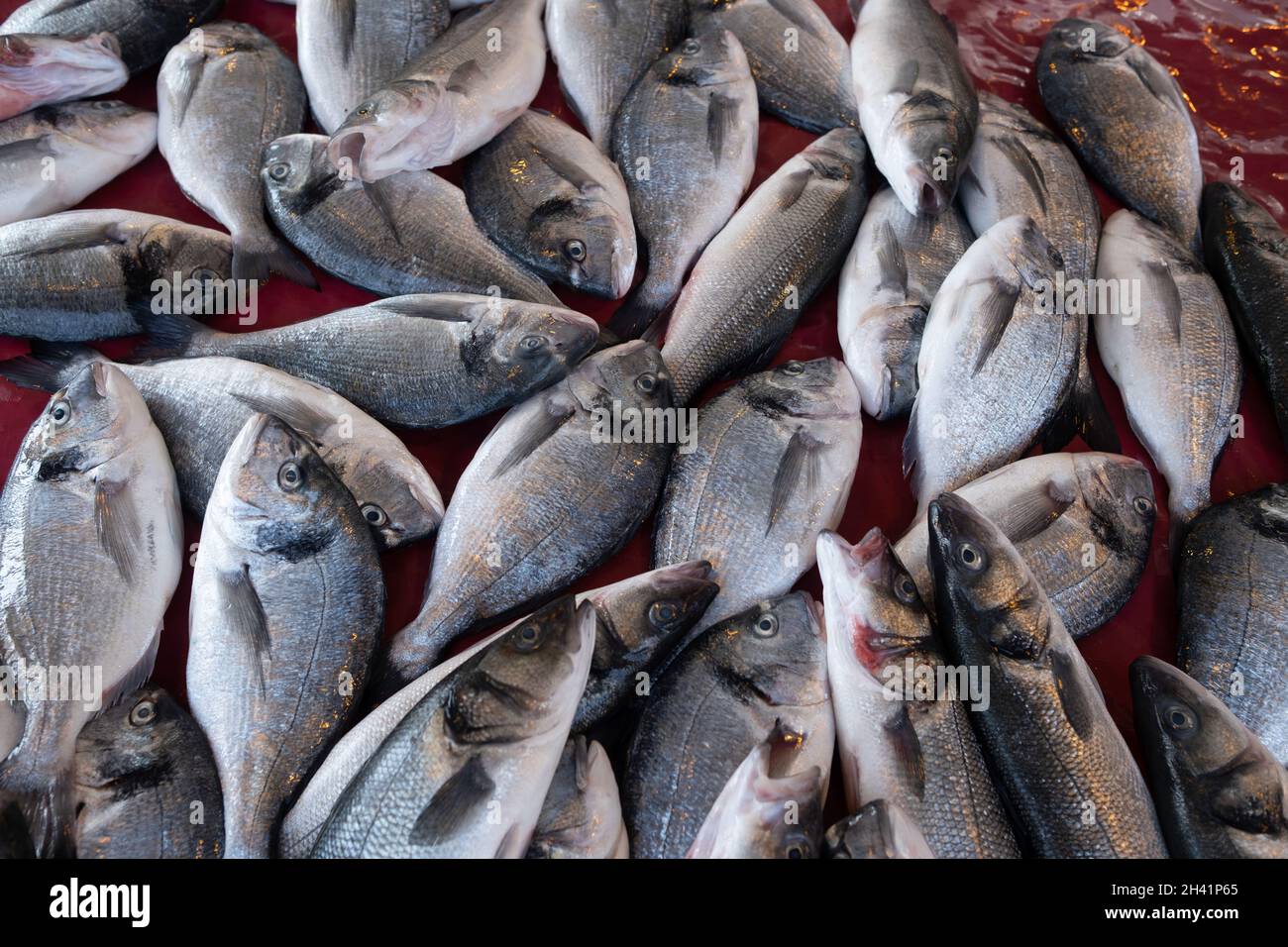 Fresh seafood, fish on ice at the fish market Stock Photo - Alamy