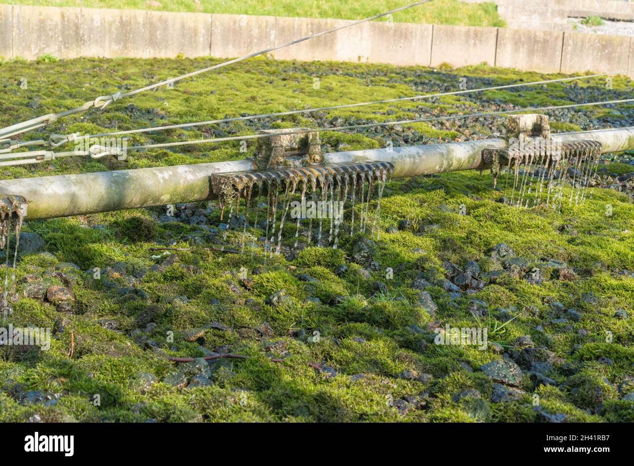 Rotary arm turning over biological filter bed, sewage treatment works