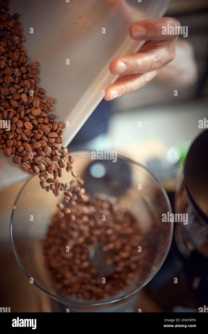 Hands holding a container and pouring fragrant and aromatic coffee beans into a grinder apparatus. Coffee, beverage, producing Stock Photo
