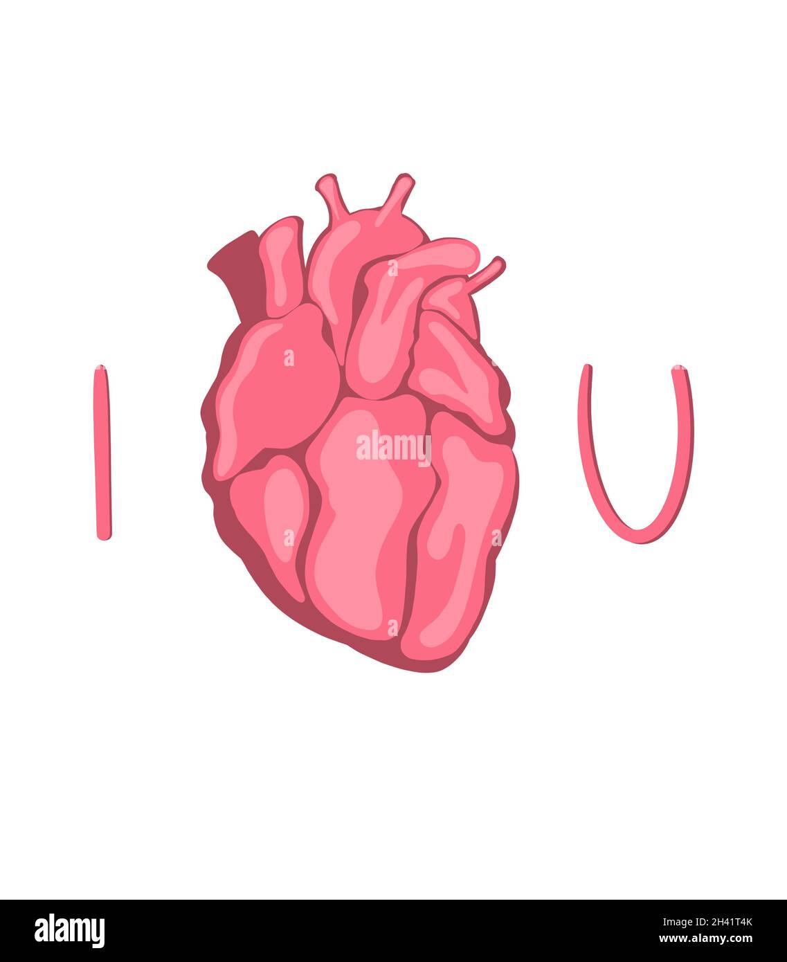 Heart anatomy drawing hi-res stock photography and images - Page 20 - Alamy