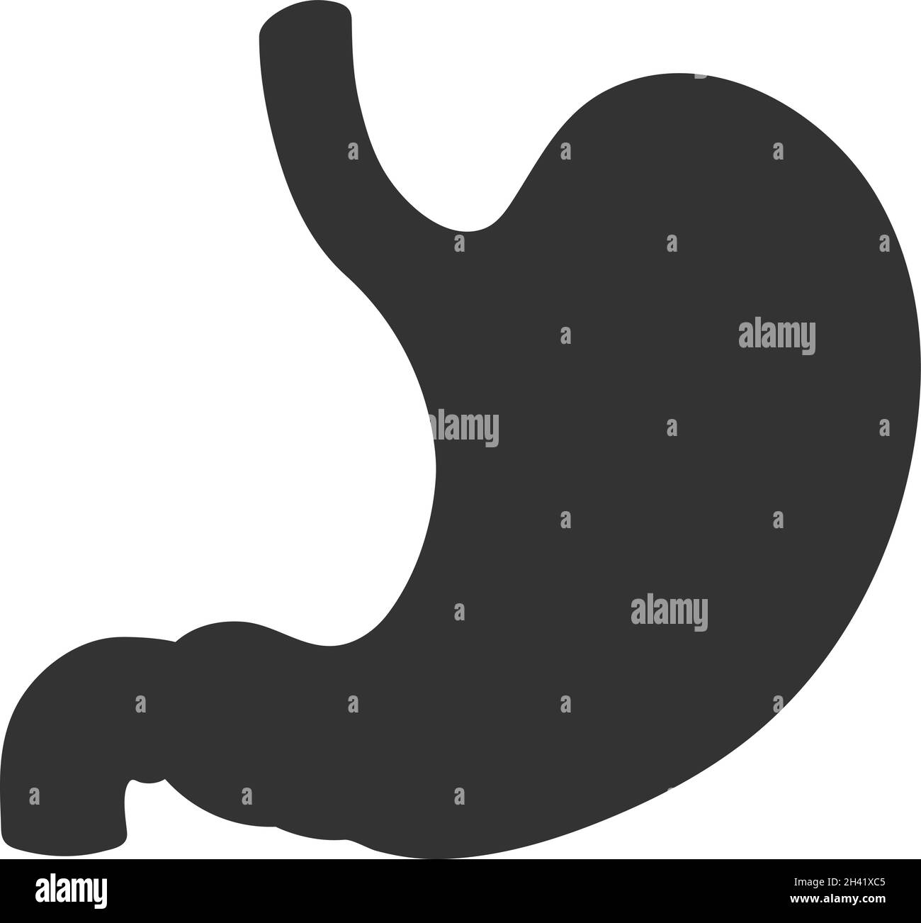 Vector human stomach icon isolated on white background. Vector illustration Stock Vector