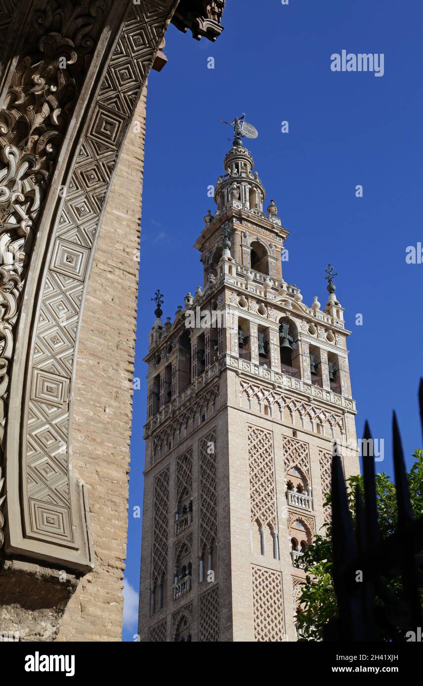 The Giralda,the Bell tower of the Cathedral of Seville Spain.Built as the  minaret for