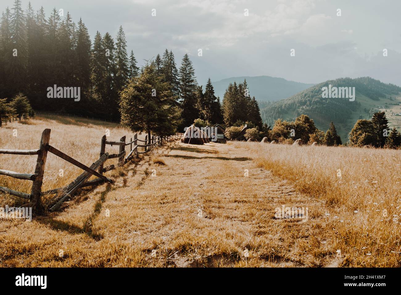 Rural road along an old wooden fence with tree houses in a natural ...