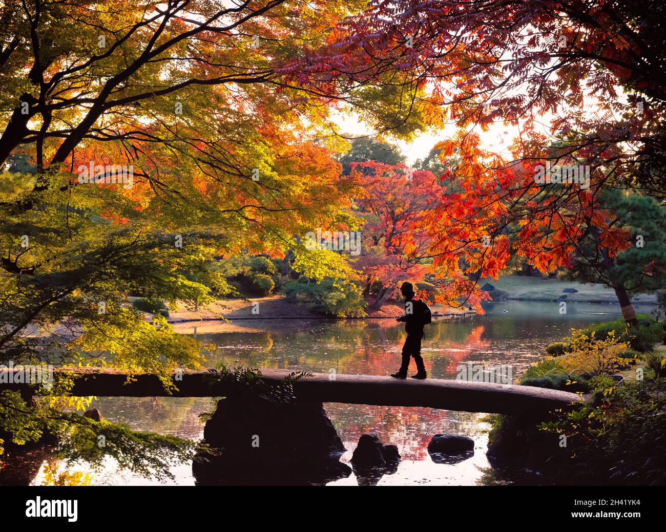 Silhouette of a man crossing Togetsukyo Bridge in Rikugien garden at sunset in autumn, surrounded by autumn foliage (Tokyo, Japan) Stock Photo
