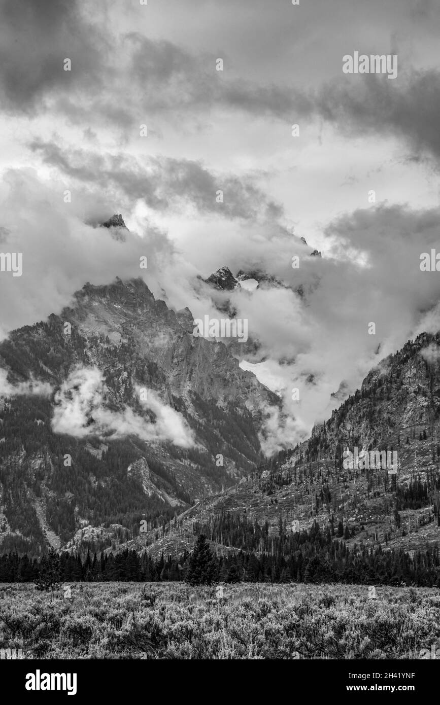 Panoramic view of the Grand Teton mountain chain in Wyoming, USA Stock Photo