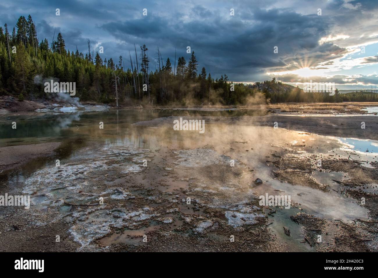 Steaming Mud Pod Area in famous Yellowstone National Park, USA Stock Photo