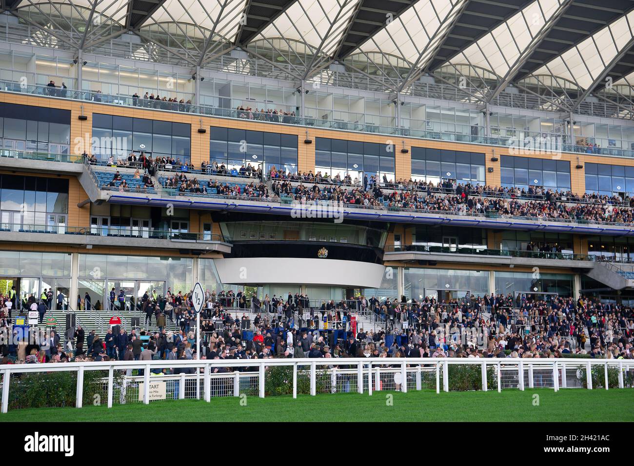 Ascot jumps grandstand hi-res stock photography and images - Alamy