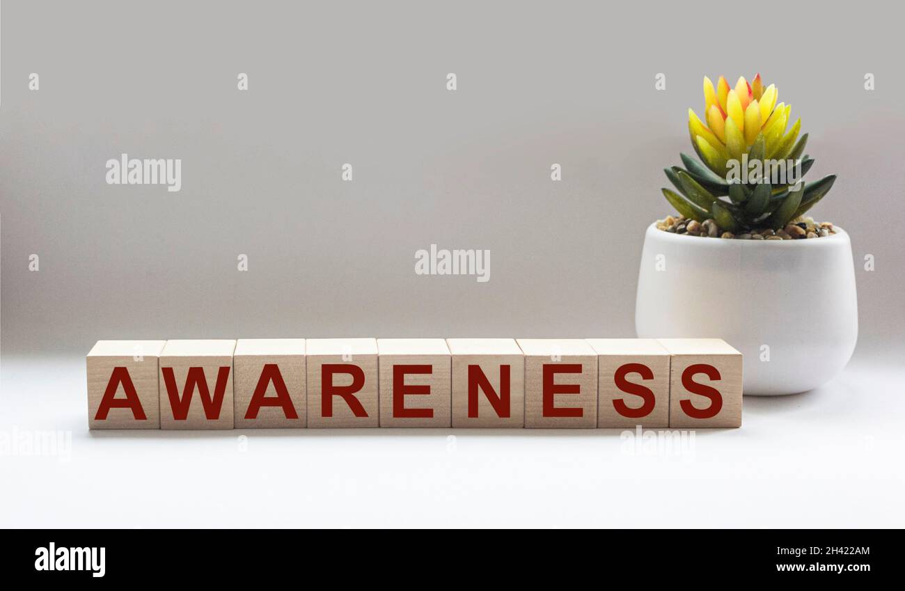 Awareness word written on a wooden block, near a cactus flower on a white background, concept. Stock Photo