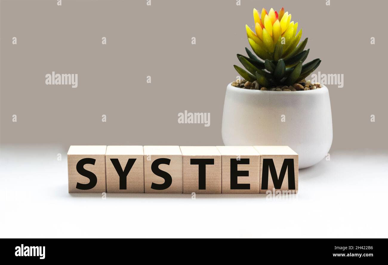 On wooden blocks text: SYSTEM on white background .Educational concept. Stock Photo