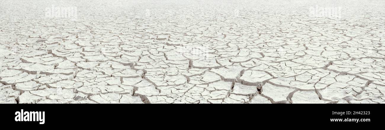 Dried white clay panorama, natural cracked texture of dry lake bed with perspective and deep focus Stock Photo