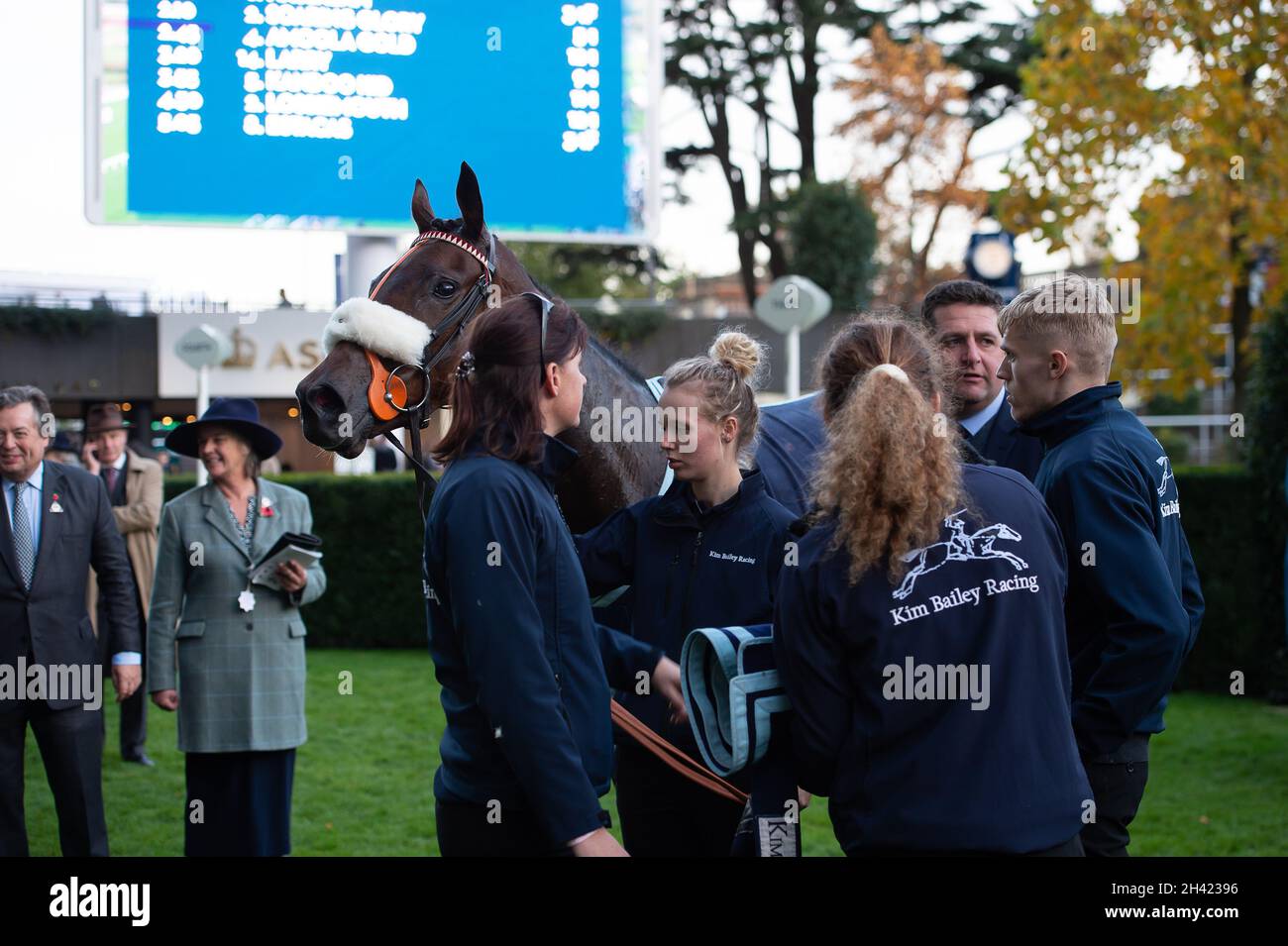 Kim bailey horse hires stock photography and images Alamy