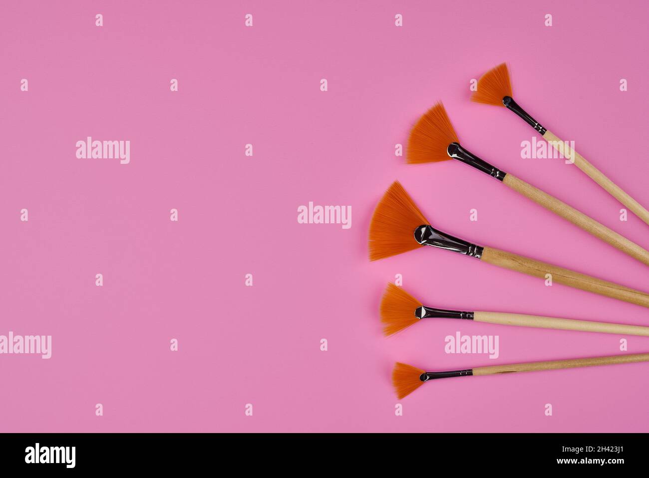 Six different sizes of artist orange bristled fan brushes on a pink background with copy space Stock Photo