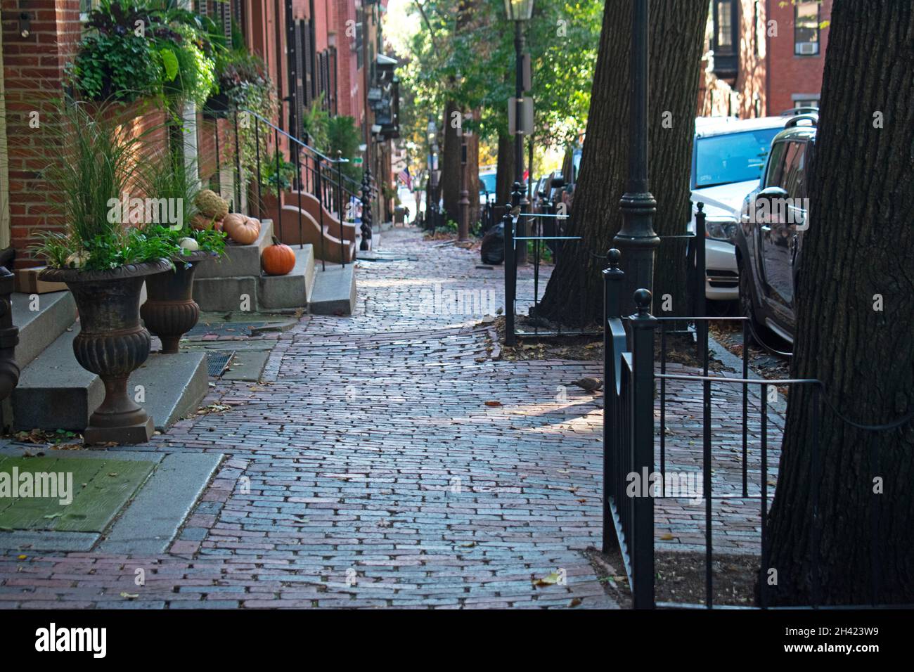 Cobblestone streets and alleyways framed by old brick buildings in