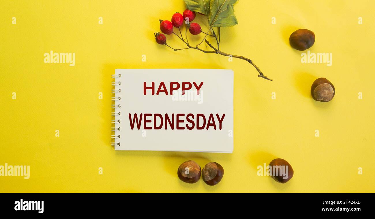 Notepad on a yellow background with a hawthorn branch and acorns and ...