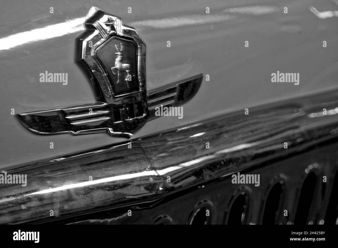 Photo cars Volga, GAZ 21,Emblem, Deer Stock Photo Alamy