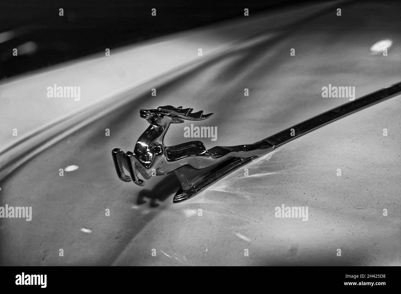 Photo cars Volga, GAZ 21,Emblem, Deer Stock Photo Alamy