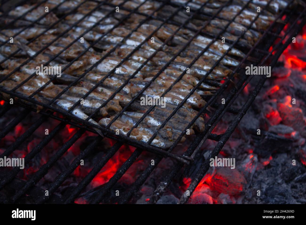 Preparation for grilling anchovies on charcoal. Ordered fishes in rows