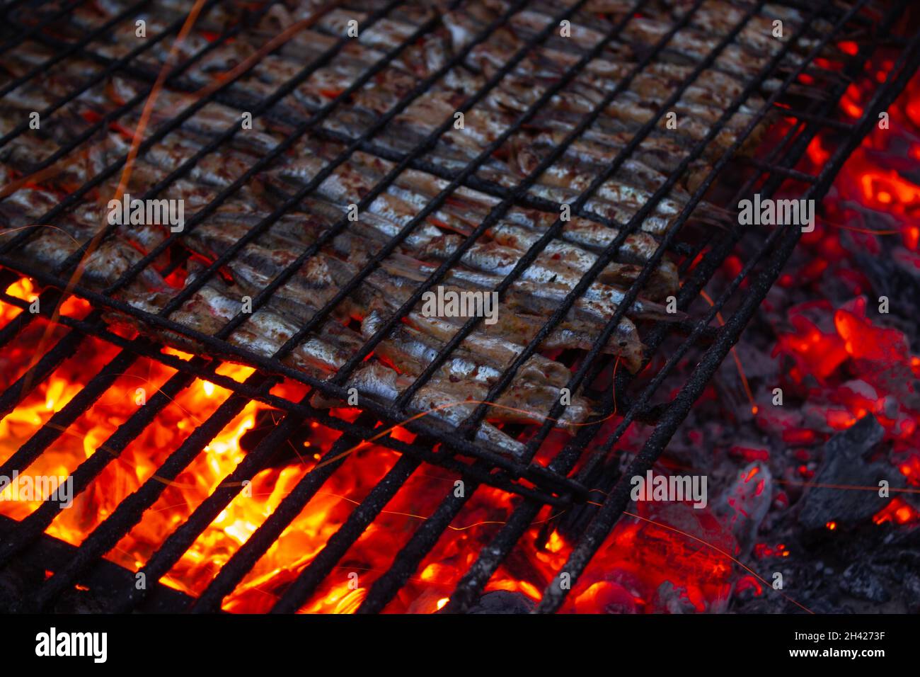 Preparation for grilling anchovies on charcoal. Ordered fishes in rows