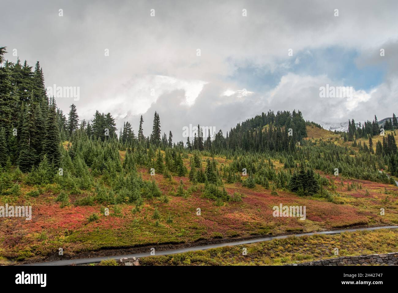Colorful alpine landscape at Mount Rainier National Park, USA Stock ...