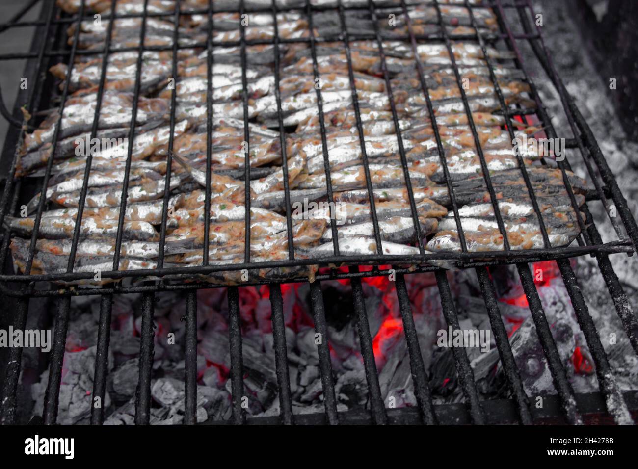 Preparation for grilling anchovies on charcoal. Ordered fishes in rows