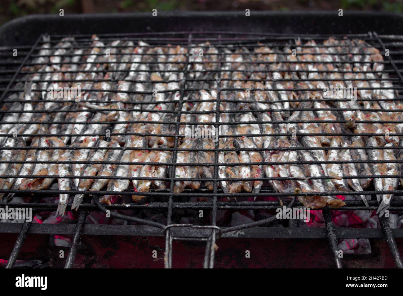 Preparation for grilling anchovies on charcoal. Ordered fishes in rows