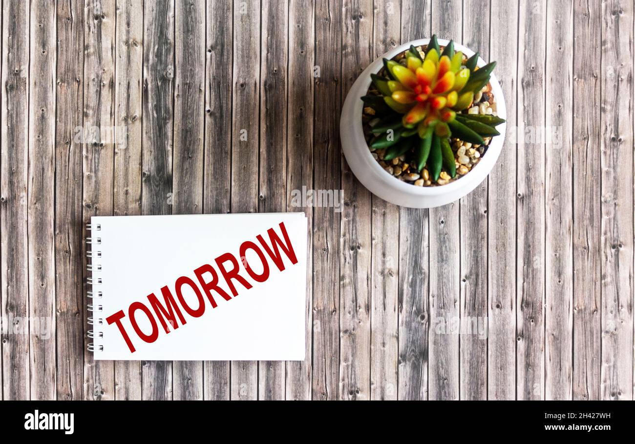 On a wooden table there is a cactus and a notebook with the inscription Tomorrow Stock Photo