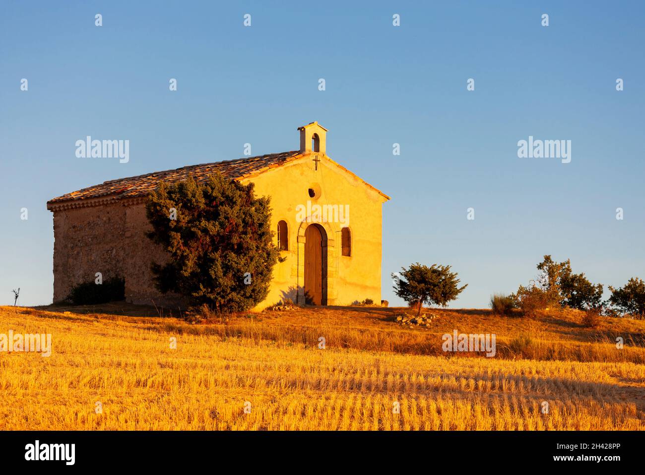 chapel with lavender field, Plateau de Valensole, Provence, France Stock Photo