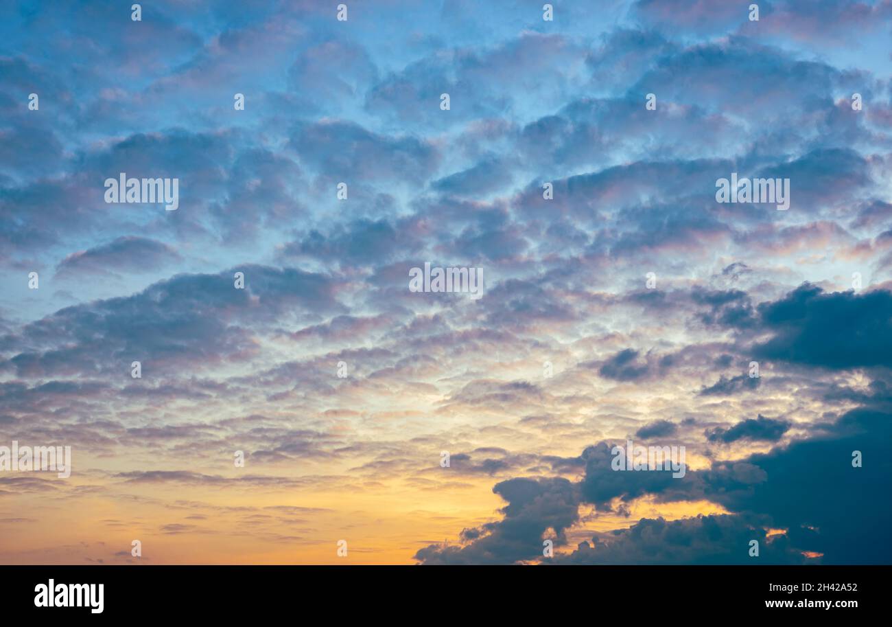 Colorful altocumulus clouds in tile pattern. Suitable as background or wallpaper. Stock Photo