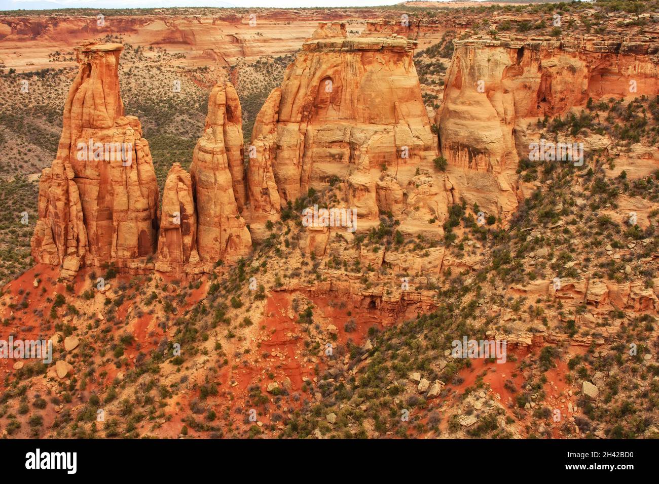 View of Pipe Organ formation in Colorado National Monument, Grand
