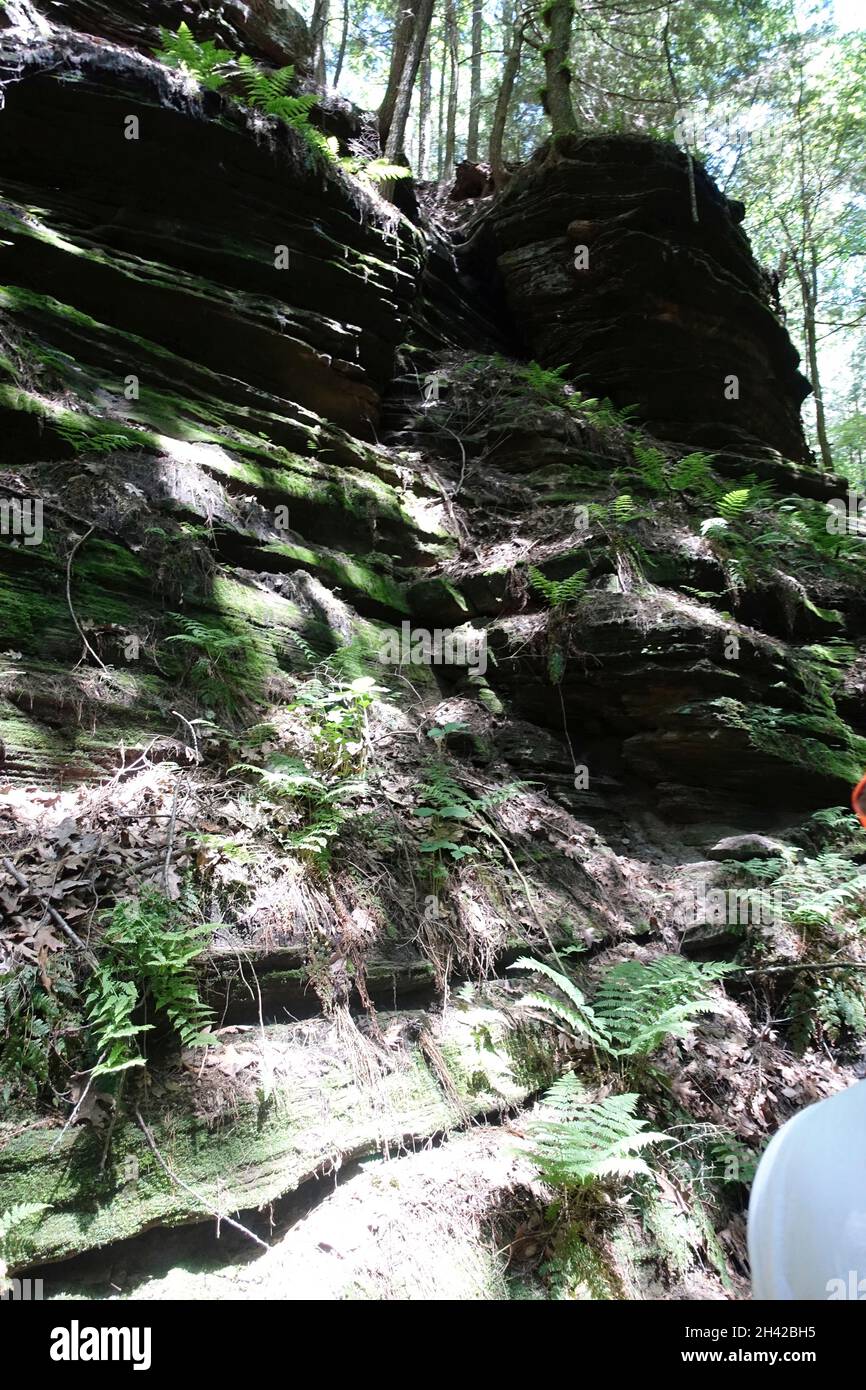 Upper river boat tour, Wisconsin Dells, Wisconsin Stock Photo Alamy