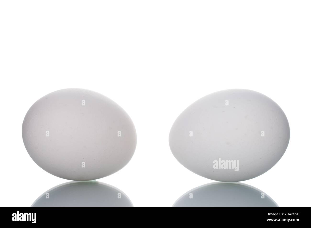 Two white chicken eggs, close-up, isolated on white. Stock Photo