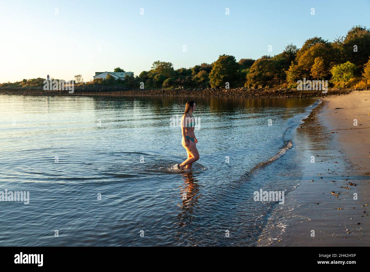 A woman wearing a bikini walking out of the sea after a cold water swim in the Firth of Forth. Stock Photo