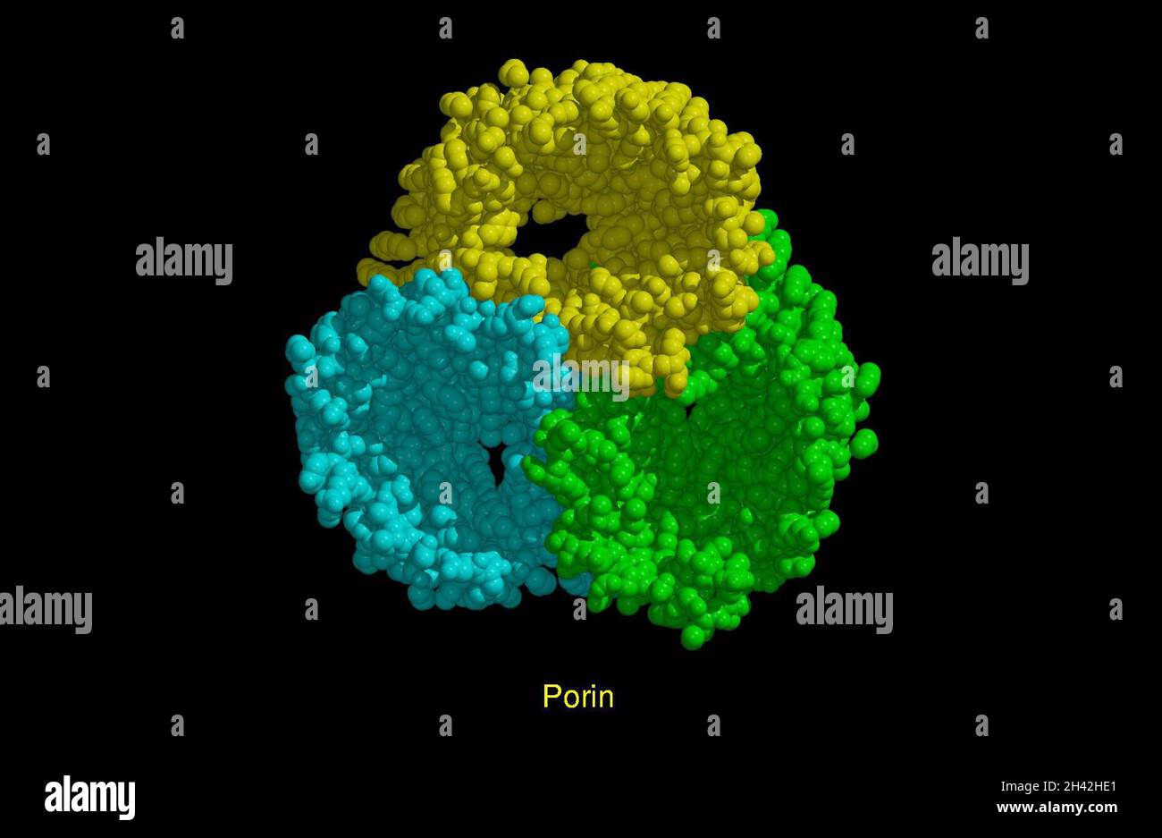 Molecular model of porin, CPK model. Stock Photo