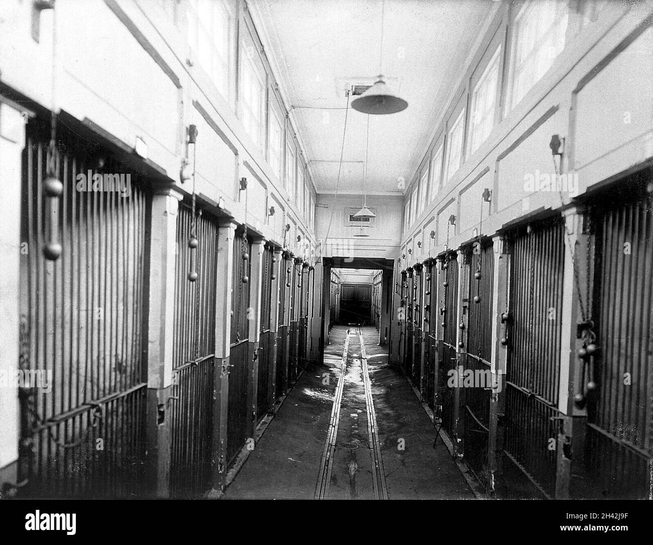 The central corridor of the vivarium (animal house) with cages for the animals, in the Physiology Department, Imperial Institute of Experimental Medicine, St Petersburg. Photograph, 1904. Stock Photo