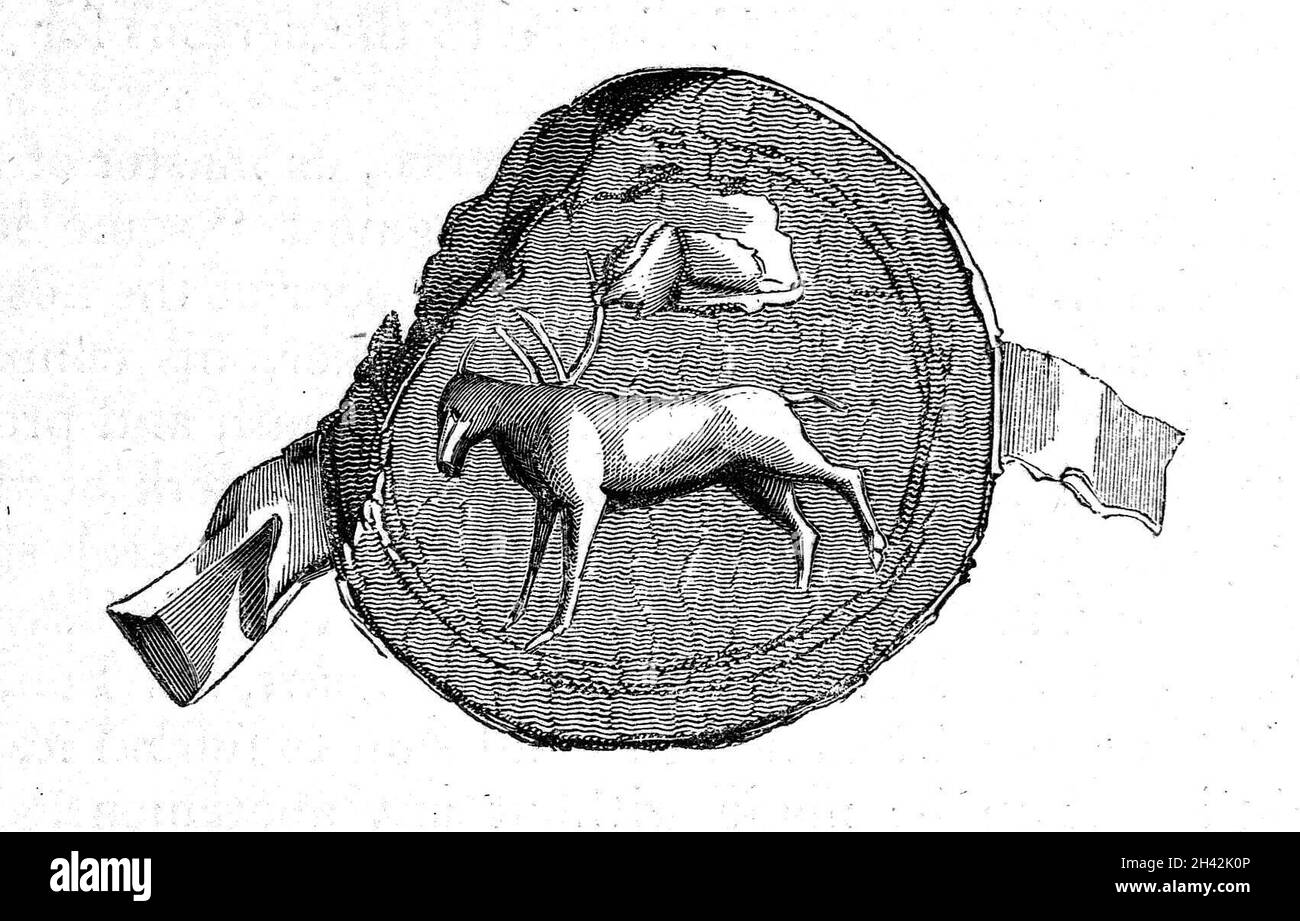 Seal of St Giles of Solop. it bears the figure of a Hind, by whose milk St Giles was supported in his desert. The squarish figure above may have denoted, but on this conjecture we do not insist; the clack-dish or alms basket with a clapper, which lepers were obliged to employ in begging charity standing 'afar off', lest their touch should pollute the benevolent. Stock Photo