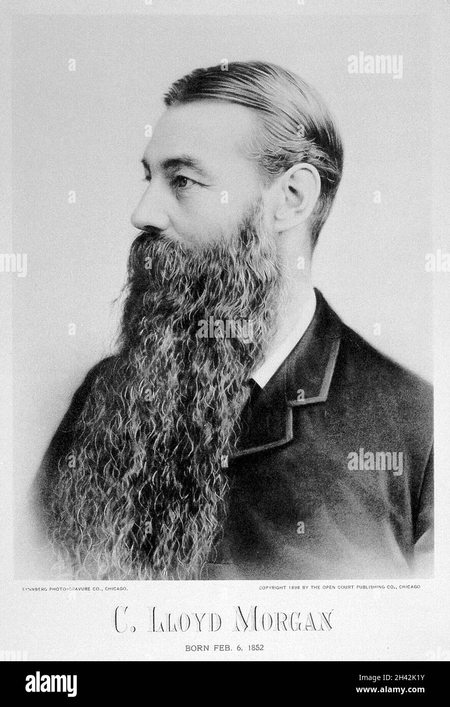 C lloyd hires stock photography and images Alamy