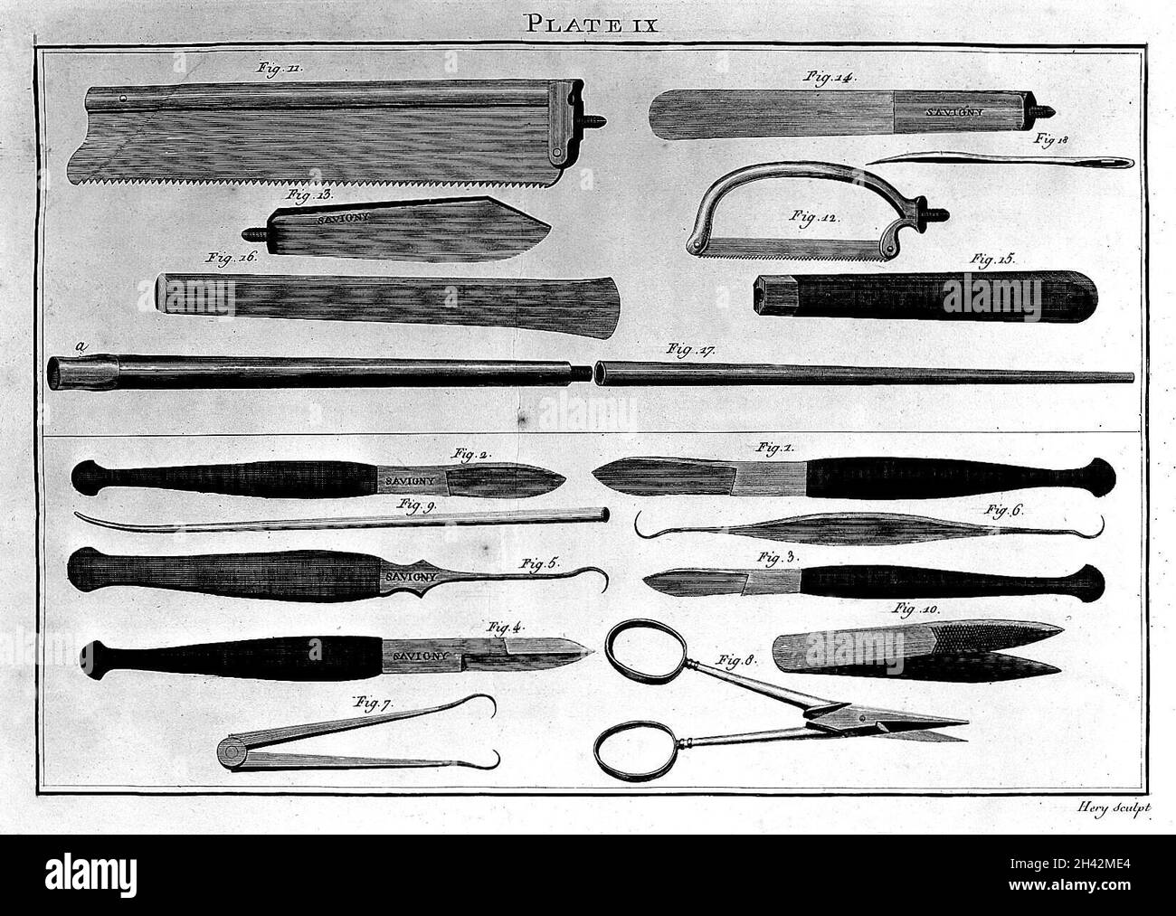 Engraving Instruments for use in anatomical dissection Stock Photo Alamy